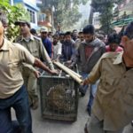 News roundup: Can Indian economy survive basic pay to citizens, India bans import of skins of reptiles, mink, fox and chinchillas, and more