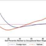 The impact of immigration on wage distributions in the era of technical automation