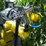 From picking to pollinating, agribots are pushing farming into the future