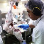 Meat companies short 2000 workers