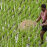 Centre plans monthly dole for farmers