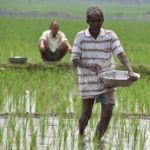 Centre may implement universal basic income to address farmers' woes