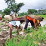 Budget 2019: Farm sops could help BJP gain ground in weak pockets