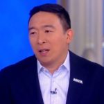 Andrew Yang: Dems increase odds of 2020 loss if 'Donald Trump bad' is their big pitch