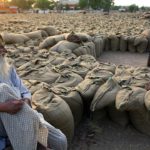 Income Support To Farmers: Rs 24,500 Crore Released To 6.5 Crore Beneficiaries Under PM-KISAN, Says Agriculture Secretary