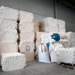 World Cotton Day Highlights Global Importance of the Commodity