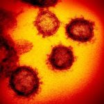 Government needs to act quickly to deal with coronavirus: School of Public Policy