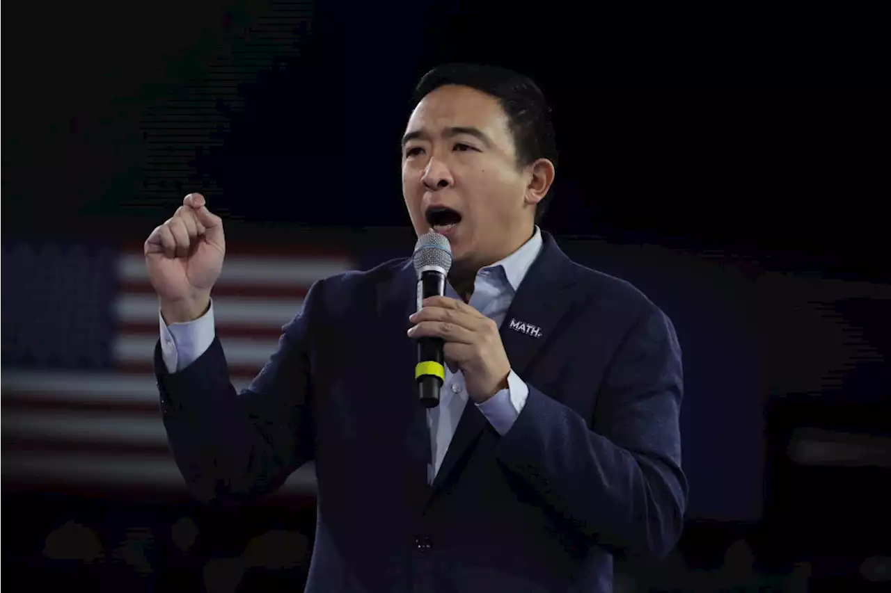 Andrew Yang warns coronavirus fallout could 'be worse' than 2008 financial crisis, as support grows for universal basic income