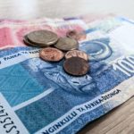 How much a basic income grant will cost South Africa