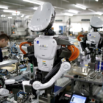Employable Skills in Case Robots Take Away Jobs