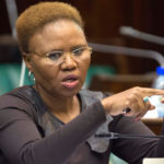EDITORIAL: Lindiwe Zulu’s universal income grant is noble, but unaffordable