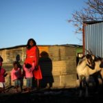 South Africa: Cyril Ramaphosa does not close the door to a permanent basic income