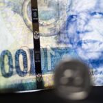 South Africans want clarity on wealth taxes and basic income grants