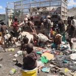 Waste pickers footage reignites BIG debate