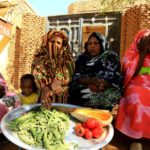 Sudan's basic income scheme aims to ease economic pain