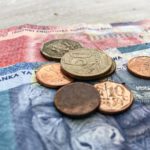 Universal income in South Africa will need a permanent source of funding: economist