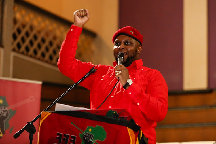 EFF wants parliament involved in basic income grant plan