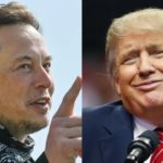 Is Elon Musk A Trump Supporter? Does Elon Musk Like Trump?