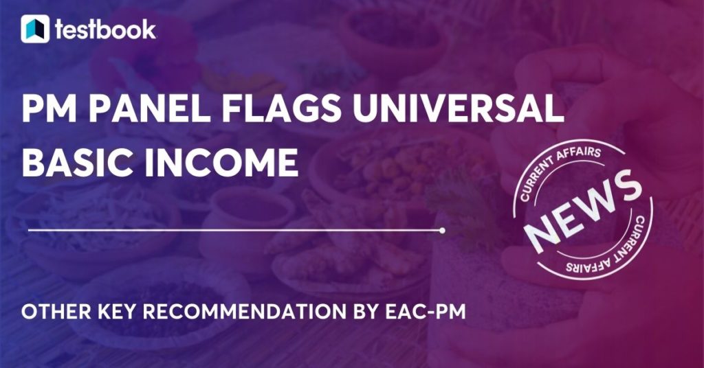 PM panel flags universal basic income