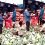 Viral Video From Vegetable Market Shows Why 'India Does Not Need Robotic Automation'