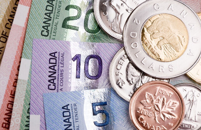 Should Canada introduce a guaranteed basic income?