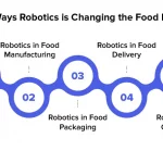 Food Automation – How AI and Robotics are Transforming the Future of the Industry