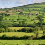 Ireland’s farmers have space for nature