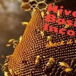 Hive Basic Income Giveaway - January 2023