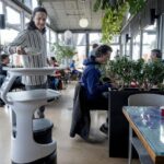 The robot revolution is here: local businesses gear up with new tech