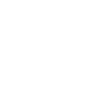 Denver Basic Income Project