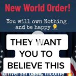 new world orders universal basic income