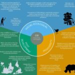 Conservationists propose 'global conservation basic income' to safeguard biodiversity