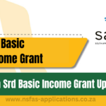 Sassa Srd Basic Income Grant Updates