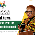 Good News New Grant of R999 for Basic Income Introduced