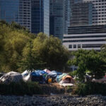 What happens when you give 50 homeless people $7,500 each? A B.C. study found out