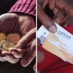 Activists call on Minister Zulu to reject the R370 SASSA SRD grant