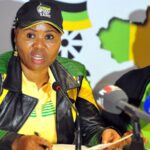 ANC tells youth its the R350 grant for now, as talks continue over basic income grant