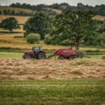 Should Britain’s farmers get a Universal Basic Income?