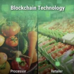 Food Industry Innovation: Blockchain and automation reinventing supply chains