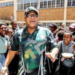 Mbalula uses basic income grant to woo voters in KZN