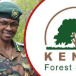 Kenya Forest Service salary scale: Ranks, basic income, and allowances