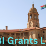 UBI Grants List 2024: Universal Basic Income Grants Coming, Amount, Increase, and News