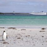 Falklands support for tourism sector affected by pathogenic avian influenza