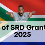 End of SRD Grants in 2025, Universal Basic Income to Be Implemented